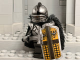 Silesian Knight w/Custom Peasant Bricks Helm + Pavise Shield!
