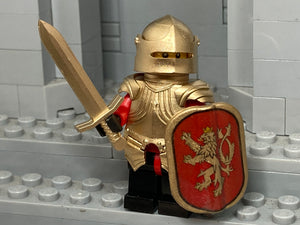 Bohemian Knight w/Loong Brick Custom Sallet + Gothic Armor & LBA Pavise!