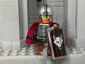 Wolfpack Raider w/Custom Pavise Shield & Hauberk! (in IRON)