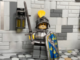 Bosnian Knight w/NEW Custom Pavise Design, Sword, + Armor!