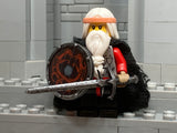 Viking Jarl w/Custom NEW Dragonslayer Sword and Dragon Shield!